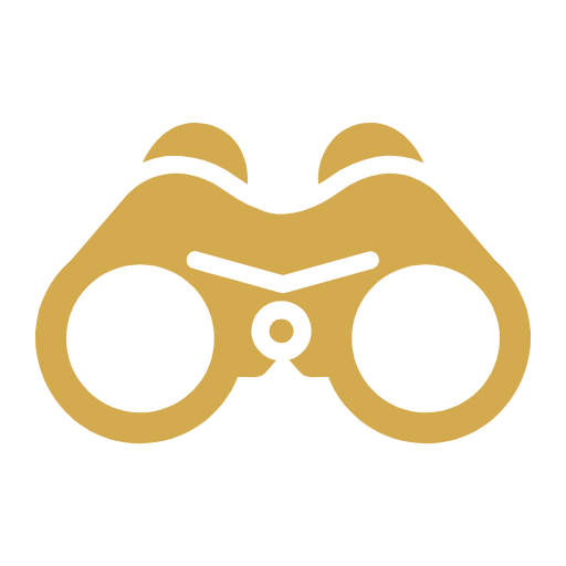Vision icon